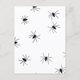 Allover Spiders Halloween Postcard