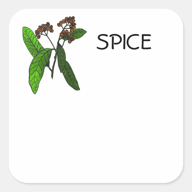 Allspice Design for Spice or Herb ID Information Square Sticker (Front)