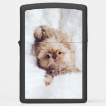 Allumeur orange de Zippo de chiot de Shih Tzu de