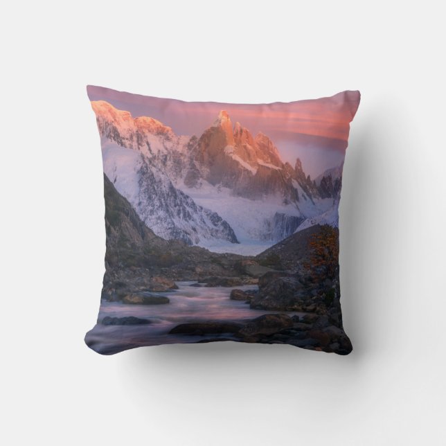 Allure Throw Pillow (Front)