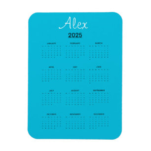 Alluring Aqua Magnet