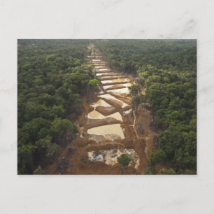Alluvial Gold Mining. Rainforest, Guyana. Postcard