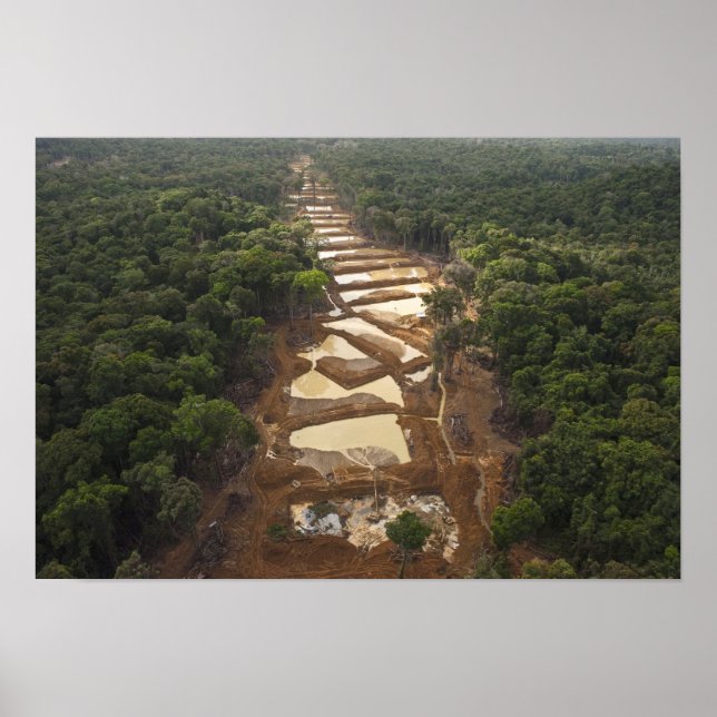 Alluvial Gold Mining. Rainforest, Guyana. Poster (Front)