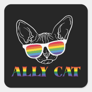 Ally Cat Cute Cat Rainbow Pride Square Sticker