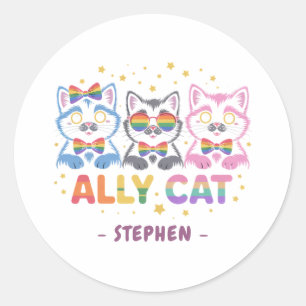 Ally Cat – Cute Colourful Cat LGBTQ Pride Classic Round Sticker