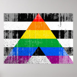 ALLY FLAG DISTRESSED -.png Poster