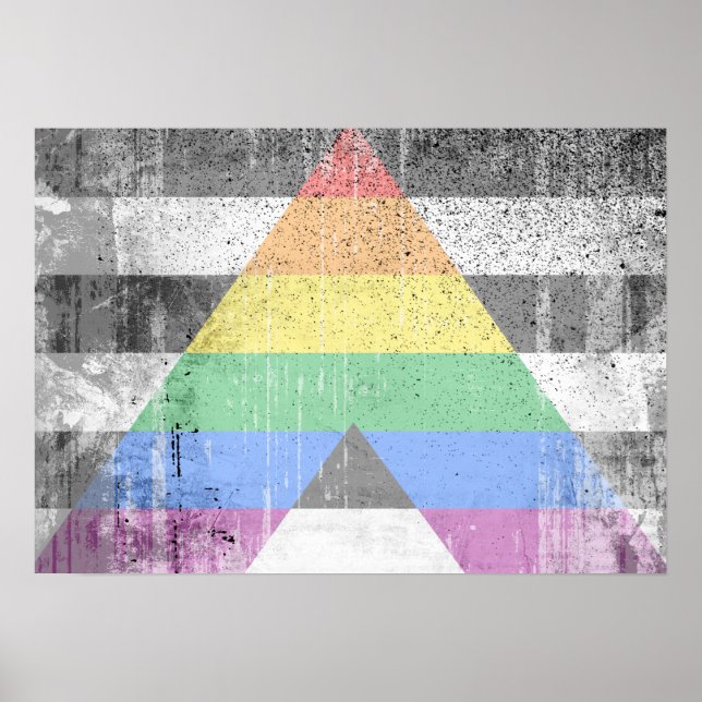 ALLY FLAG DISTRESSED -.png Poster (Front)
