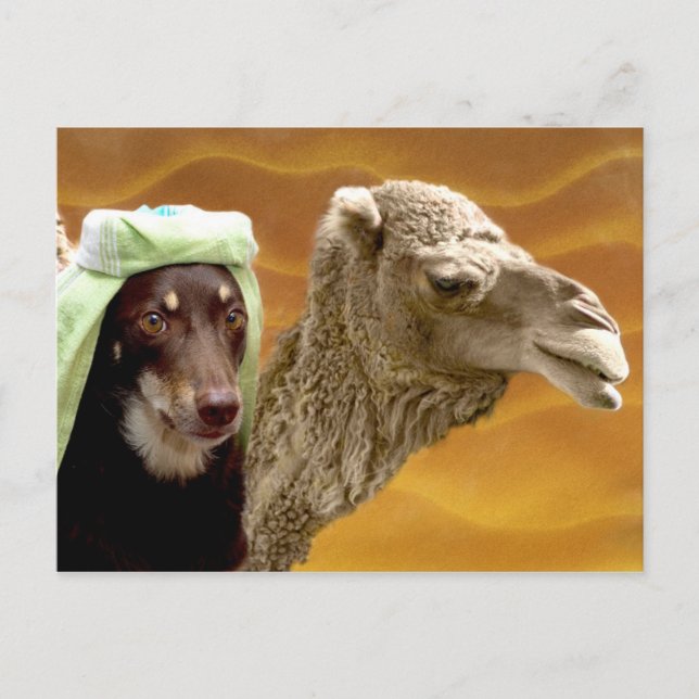 Ally of Arabia Postcard (Front)