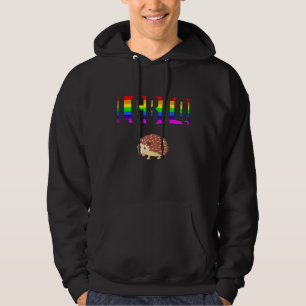 Ally Pride LGBTQ Equality Rainbow Lesbian Gay Tran Hoodie