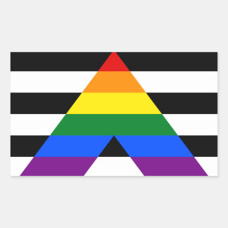 Ally Pride Rectangle Sticker
