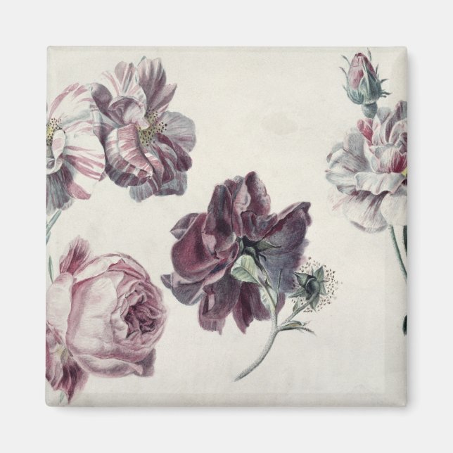 Alma-Tadema | Roses Magnet (Front)