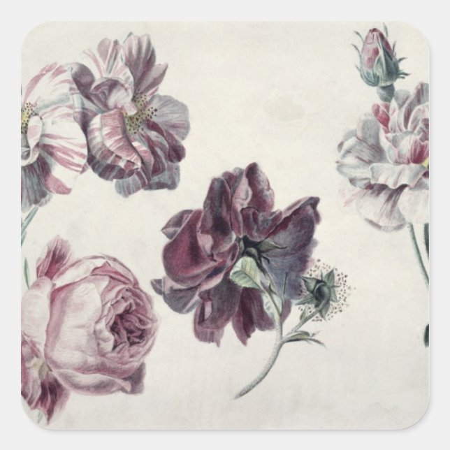 Alma-Tadema | Roses Square Sticker (Front)