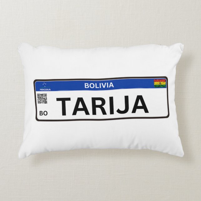 Almohada Came to Stay Accent Pillow (Front)