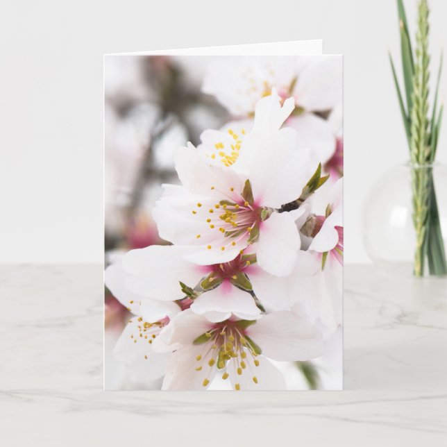 Almond blooming card (Front)