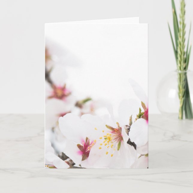 Almond blooming card (Front)