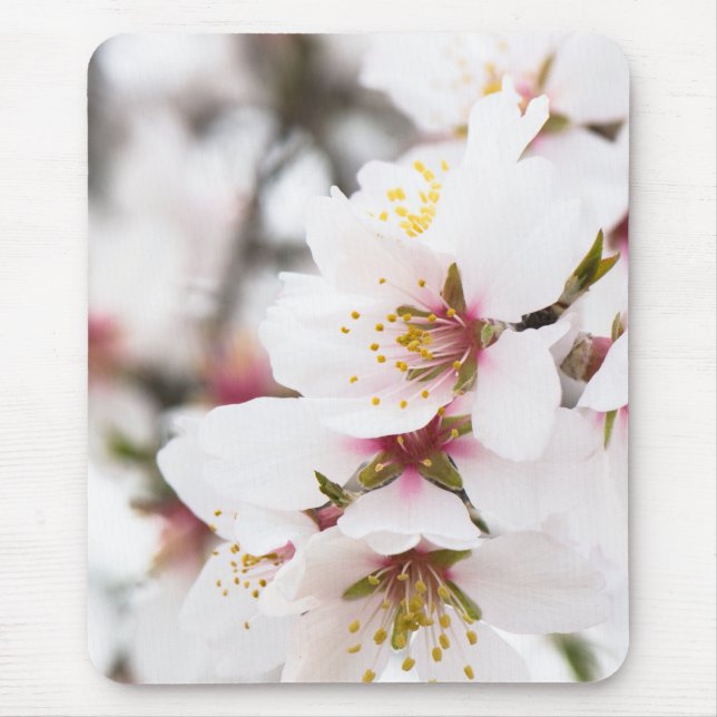 Almond blooming mouse pad (Front)