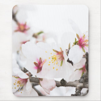 Almond blooming mouse pad