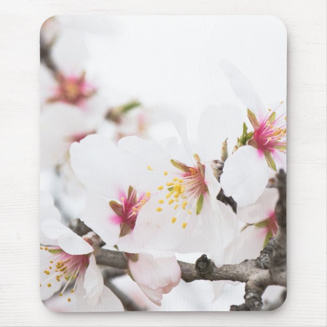 Almond blooming mouse pad (Front)