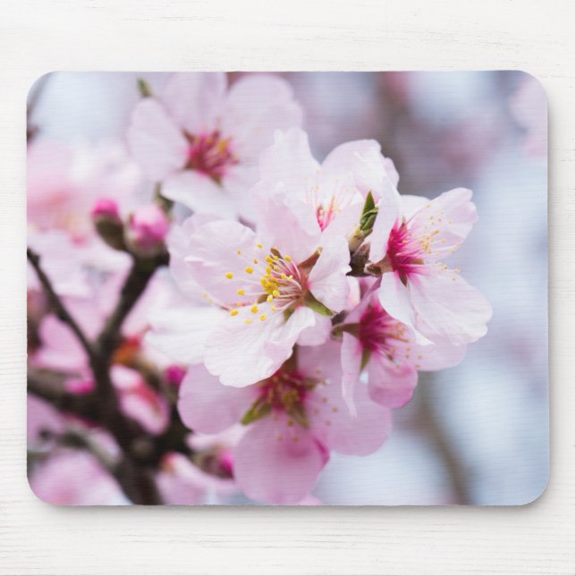 Almond blooming mouse pad (Front)