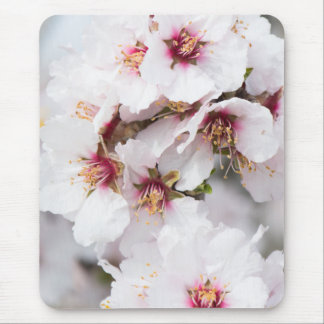 Almond blooming mouse pad