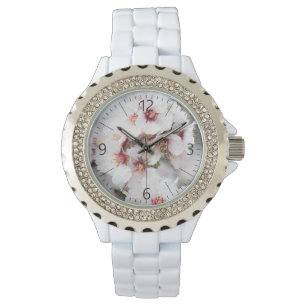Almond blooming watch