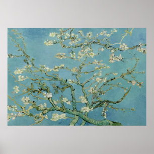 Almond blossom by Vincent Van Gogh Poster