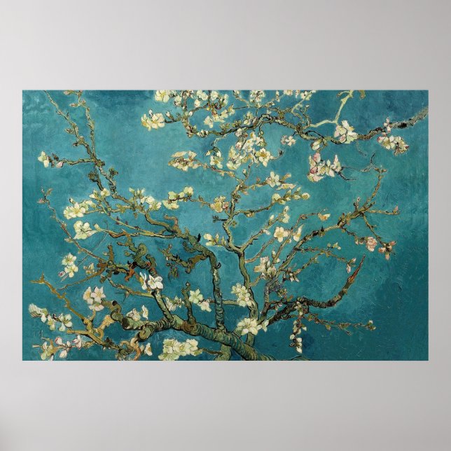 Almond Blossom Poster (Front)