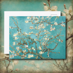 Almond blossom, Van Gogh Postcard