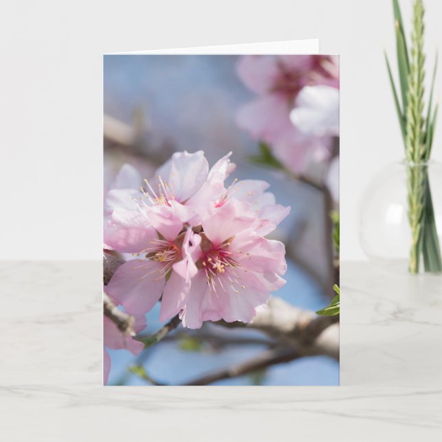 Almond blossoming card (Front)