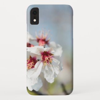 Almond blossoming iPhone XR case