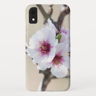 Almond blossoming iPhone XR case