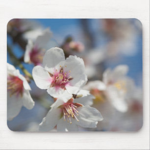 Almond blossoming mouse pad