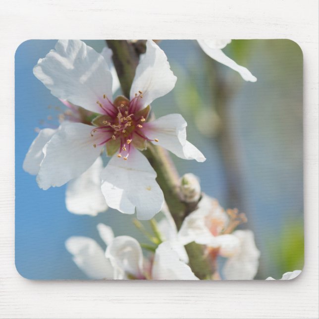 Almond blossoming mouse pad (Front)