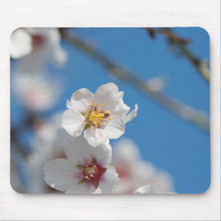 Almond blossoming mouse pad