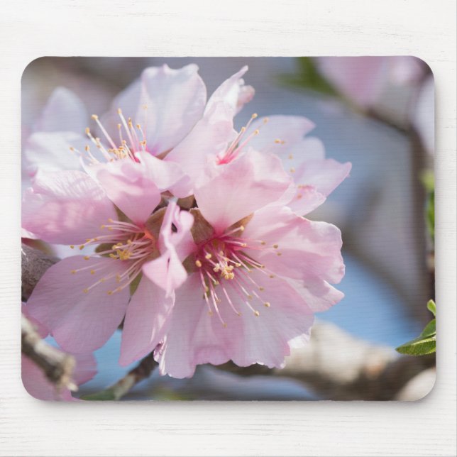 Almond blossoming mouse pad (Front)