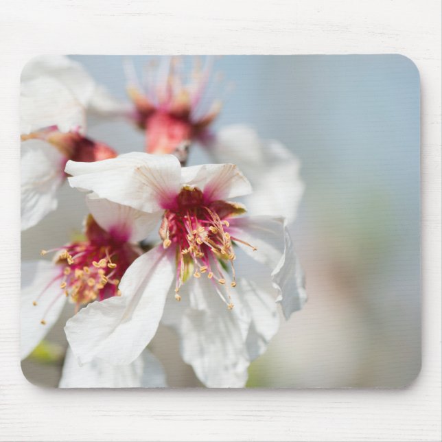 Almond blossoming mouse pad (Front)