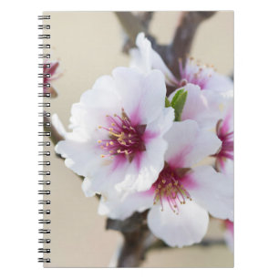 Almond blossoming notebook
