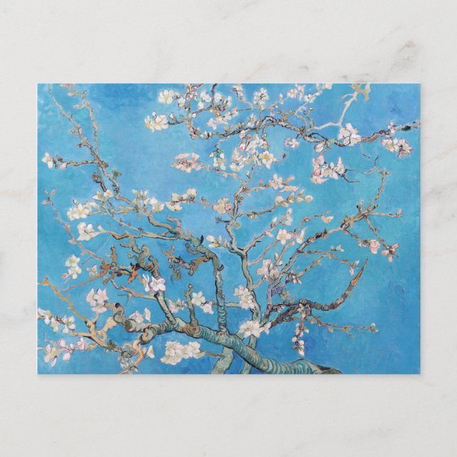 Almond Blossoms Blue Vincent van Gogh Art Painting Postcard (Front)