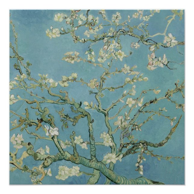 Almond Blossoms by Vincent Van Gogh Fine Art Poster (Front)