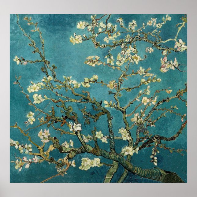 Almond Branches in Bloom Poster (Front)