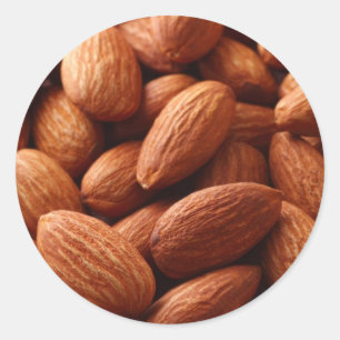 Almond Classic Round Sticker