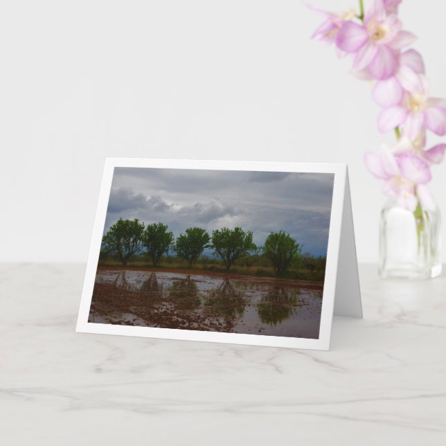Almond Tree Landscape Card (Orchid)