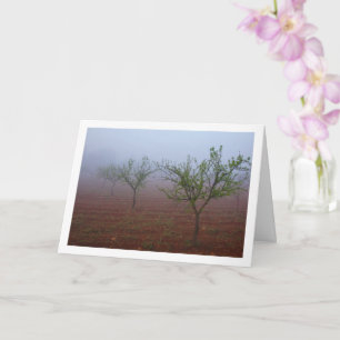 Almond Tree Orchard on Foggy Morning Card