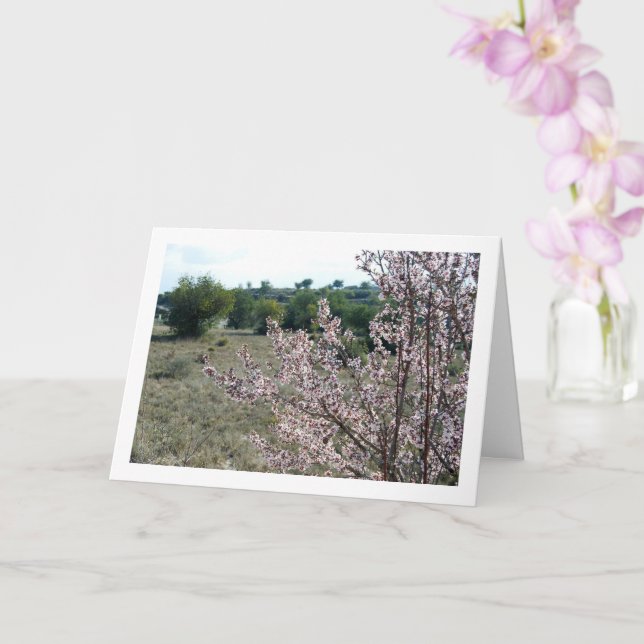 Almond Tree with Blossom Card (Orchid)