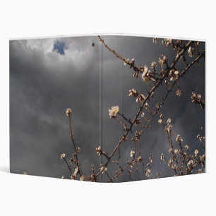almond trees binder