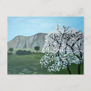 Almond trees in blossom Italy, Sicily Mountain Postcard