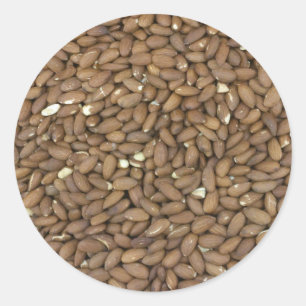 Almonds Classic Round Sticker
