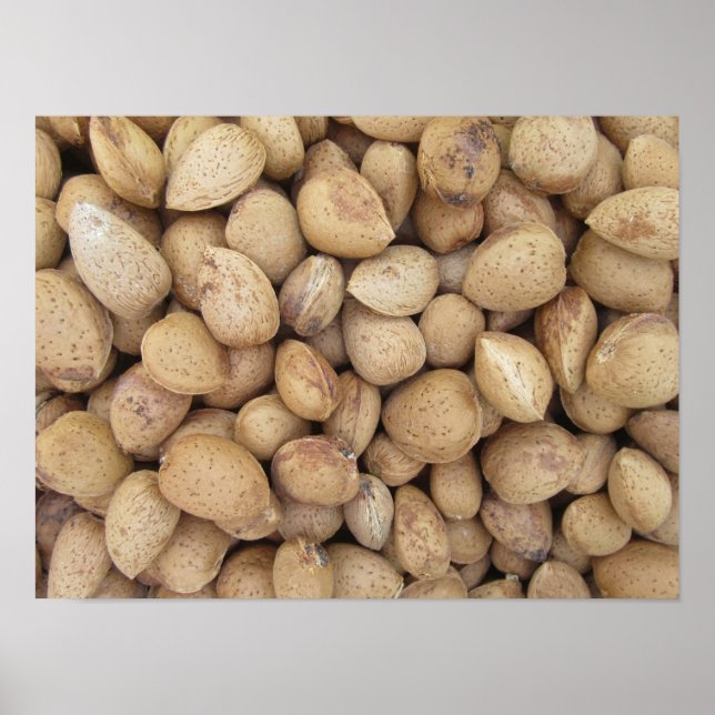 Almonds Fall Autumn Patterns Poster (Front)
