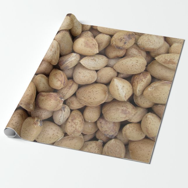 Almonds Fall Autumn Patterns Wrapping Paper (Unrolled)