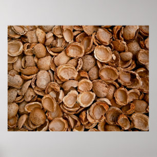 Almonds shells empty cracked poster